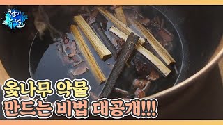 옻나무 약물 만드는 비법 대공개 MBN 230519 방송 [upl. by Asalocin]