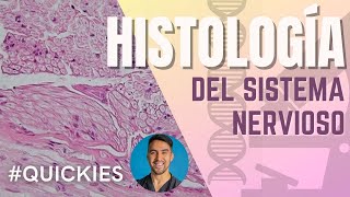 Histología del Sistema Nervioso Neuronas Capas Cerebrales Astrocitos y más [upl. by Serles]