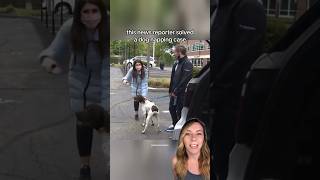 News reporter finds stolen dog while reporting on his dognapping case 🐶 shorts [upl. by Georgianne171]