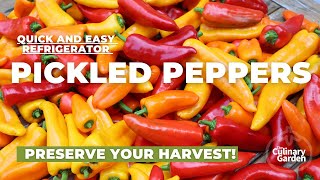 PICKLED SWEET PEPPERS Preserve your garden harvest in the fridge [upl. by Llirpa]