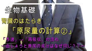 高校生物基礎「腎臓のはたらき 原尿量の計算２」〜ろ過から再吸収の流れ〜 〜血しょうと原尿の成分はなぜ同じ？？〜 [upl. by Frank]