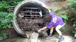 clearing culvert blocked from inside summer 2021 [upl. by Nosremaj]