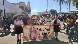 PEREGRINACIÓN DE MILPAS VIEJAS FESTEJO A LA VIRGEN DE GUADALUPE 12 DE DICIEMBRE 3023 [upl. by Andromeda]