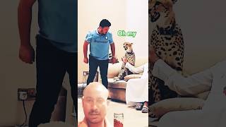 Tiger ne hamla kar Diya shorts animaltrap viralvideos vlog [upl. by Clo]