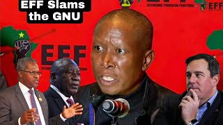 Julius Malema reveals Shocking Information behind formation of GNU ANCDAIFP Coalition [upl. by Ecirtam]