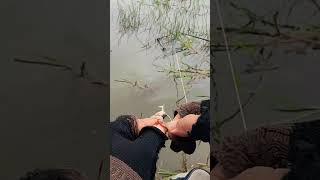 How to plug frog for fishing [upl. by Oravla342]