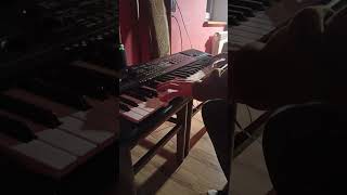 Reality ✨  Lost Frequencies  piano cover muzyka reality lostfrequencies keyboard pianomusic [upl. by Marianne]