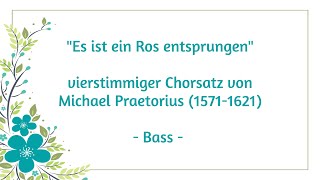 Es ist ein Ros entsprungen  Bass [upl. by Kus528]