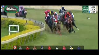 Hyderabad Race No  5  The Nirmal Plate Div1 [upl. by Noval]