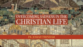 Overcoming Sadness in the Christian Life [upl. by Nahtonoj890]