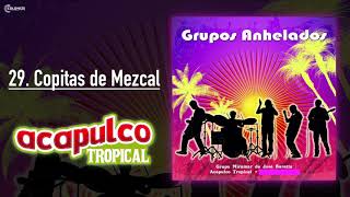 Acapulco Tropical  Copitas de Mezcal [upl. by Jezreel]