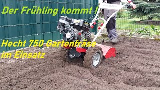 Hecht 750 Gartenfräse bei der Arbeit [upl. by Oinotnas]