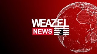 Weazel News 3EMS Mentální zhroucení kočičák sebevrah [upl. by Aisetal]