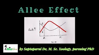 Allee Effect Density Dependent Factors of Population Regulation [upl. by Zorah]