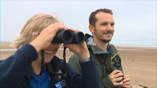 Eagle Raises Two Chicks in Separate Nests in Scots First  STV News [upl. by Ahseuqram]