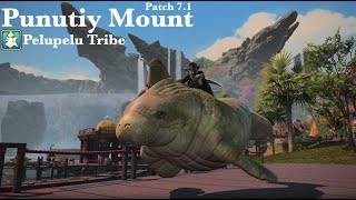 Final Fantasy XIV  Punutiy Mount [upl. by Ronny973]