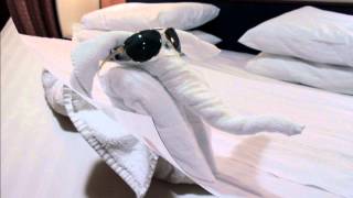 Towel animals Royal Caribbean cruise ship Jewel of the seas [upl. by Ennylyak861]