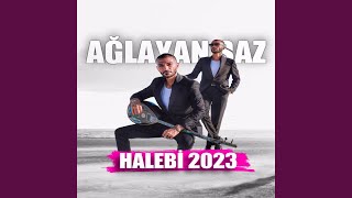 Halebi Yeni Ağlayan Saz [upl. by Ilana]