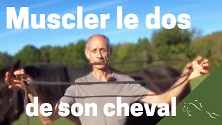 Comment MUSCLER le DOS de mon cheval [upl. by Naie]