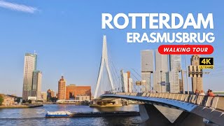 Summer Walk in Rotterdam  Crossing the Iconic Erasmus Bridge  Walking Tour [upl. by Grogan]