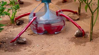 Cómo hacer RIEGO POR GOTEO CASERO Y AUTOMÁTICO fácil y rápido sirve para chilis apios tomates [upl. by Ayhdnas531]