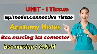 Tissues Notes part 1  Anatomy notes  bscnursing gnm nursingnotes tissue anatomy [upl. by Luhey]