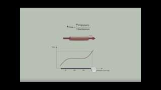 Vascular Autoregulation [upl. by Lissner]