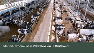 Met nieuwbouw naar 2000 koeien in Duitsland [upl. by Reinal]