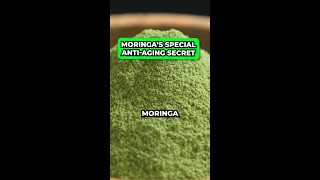 THE MORINGA POWDER THE ELIXIR OF LIFE [upl. by Siward759]