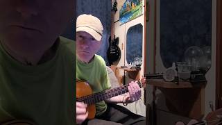 A Welshman in New York shorts acousticguitar guitar acousticcover [upl. by Bertine765]