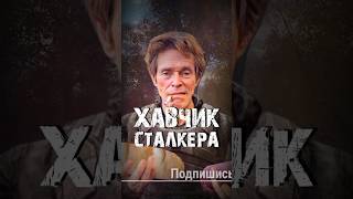 STALKER  Хавчик Сталкера Рассказчик Сидорович stalker сталкер [upl. by Ahsitul]