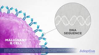 clonoSEQ What is MRD [upl. by Medwin]