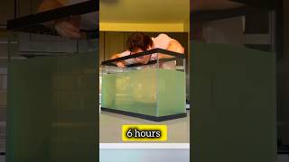 Is It Possible 12Hour Challenge of Drinking Water by Spoon shorts viralvideo trending foryou [upl. by Yecart]