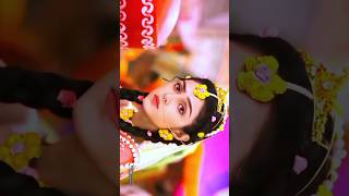 🥰 Radhe Krishna 🙏  mostpowerful mahdev youtubeshorts 4kstatusfullscreen shortvideo 2k24 [upl. by Flann415]