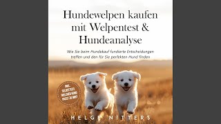 Kapitel 19  Hundewelpen kaufen mit Welpentest amp Hundeanalyse Wie Sie beim Hundekauf fundierte [upl. by Prent]