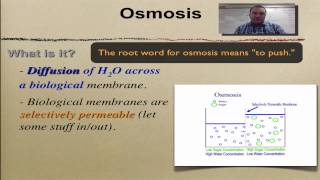 Chapter 7 Part 11  Passive Transport [upl. by Ettenaej310]