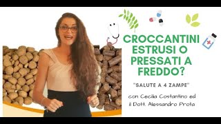 Quello che non ti dicono sui croccantini estruso e pressato a freddo col Dott Prota [upl. by Necila]