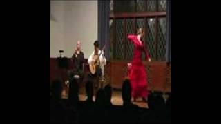 ¡Con Fuego El Concierto de Aranjuez with Flamenco Dance [upl. by Atener]