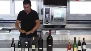 tipos de botellas de vino [upl. by Terej276]