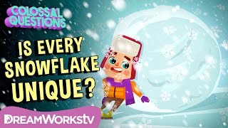 Is Every Snowflake Unique  COLOSSAL QUESTIONS [upl. by Lamhaj]