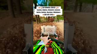 Tybrettlen Lawn Care Taunton Ma 5088449785 onlytime orinoco happy lawn leafcleanup [upl. by Attenwahs]