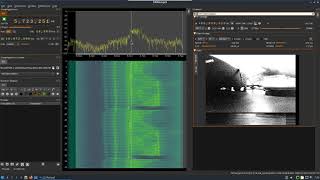 DragonOS Focal demodulating 5GHz analog drone video SigDigger SDRangel BladeRF [upl. by Tavi]