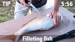 How to Fillet Fish [upl. by Linson]