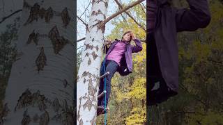 Ladder from wood sticks and rope the easiest way to climb a tree 🥰 bushcraft survival [upl. by Antonio]