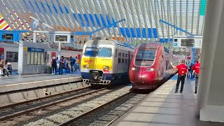 treinen in Brusselzuid en luikguillemins [upl. by Ahsieket]