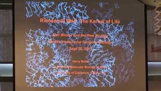 Ribosomal RNA The Kernel of Life  Harry Noller University of California Santa Cruz [upl. by Jensen390]