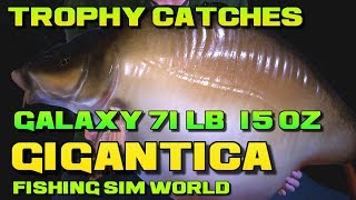 Fishing Sim World Lake Gigantica Trophy Carp  Galaxy Starburst Longfish [upl. by Noseyt]