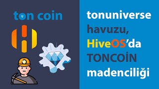 Ton Coin  Yeni havuz ve miner tonuniverse hiveos kurulum [upl. by Kong336]