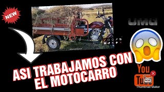 Así es como trabajamos con el MOTOCARRO VELOCI 300😎😎🏍️🧑‍🌾 [upl. by Ebbie]