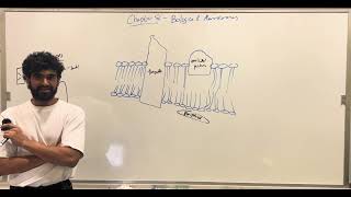 MCAT Biochemistry Chapter 8 Biological Membranes [upl. by Yelrac469]